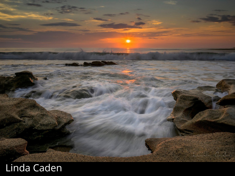 images/Linda%20Caden%20Artist%20Directory.png#joomlaImage://local-images/Linda Caden Artist Directory.png?width=800&height=600